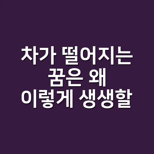 차가 떨어지는 꿈은 왜 이렇게 생생할까요? - 요약