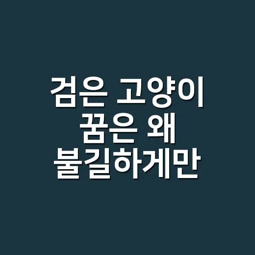 검은 고양이 꿈은 왜 불길하게만 읽힐까요? - 요약
