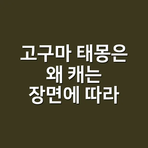 고구마 태몽은 왜 캐는 장면에 따라 달라질까요? - 요약