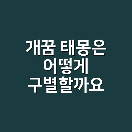 개꿈 태몽은 어떻게 구별할까요? - 요약