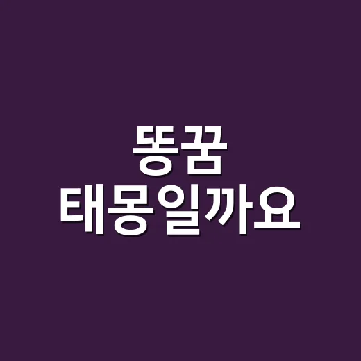 똥꿈 태몽일까요, 장면에 따라 왜 다를까요? - 요약
