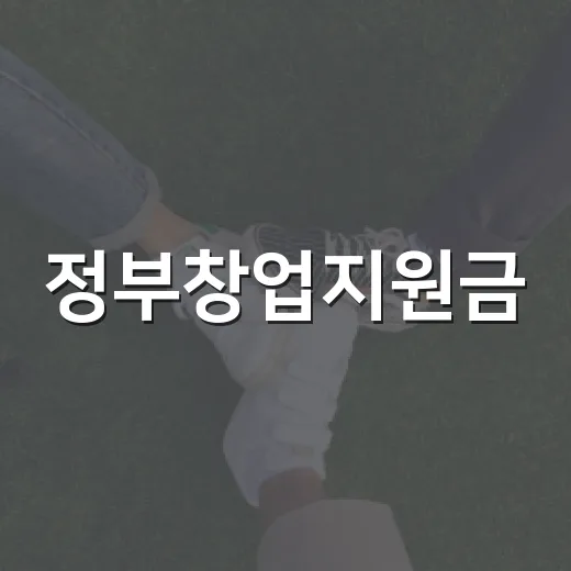 정부창업지원금, 내 창업 준비에 실제로 얼마나 도움이 될까요? - 요약