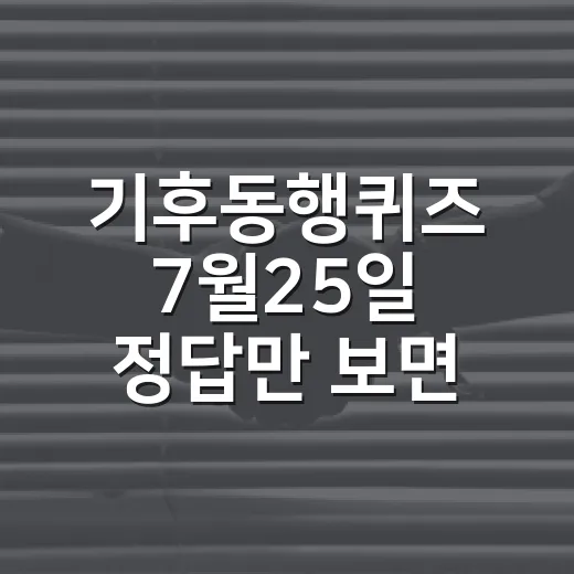 기후동행퀴즈 7월25일 정답만 보면 되는 걸까요? - 요약
