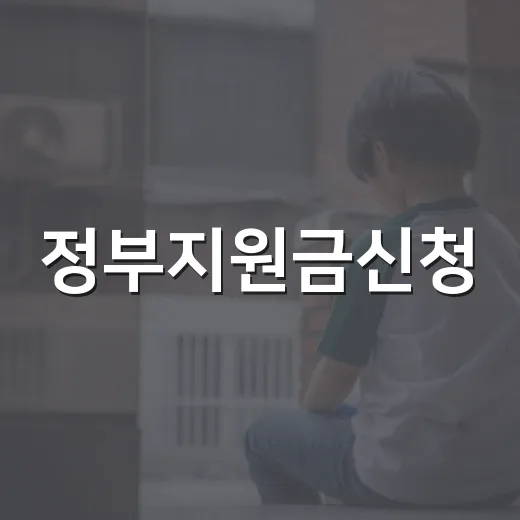 정부지원금신청, 내가 놓치고 있는 돈은 어디서 확인할까요? - 요약