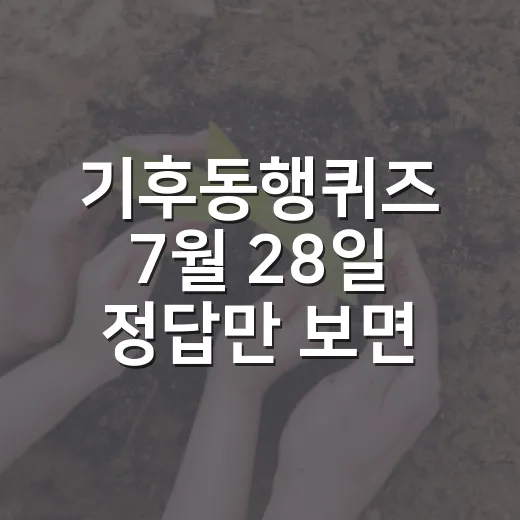 기후동행퀴즈 7월 28일 정답만 보면 끝일까요? - 요약