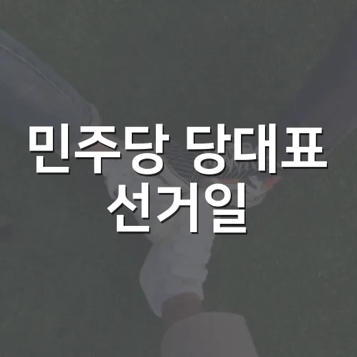 민주당 당대표 선거일, 8월 17일이 왜 중요할까요? - 요약