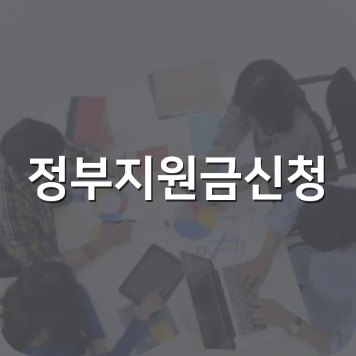 정부지원금신청, 나는 왜 매번 놓치고 있을까요? - 요약