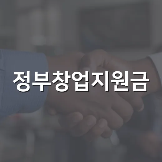 정부창업지원금, 내 사업 준비에 실제로 얼마나 도움이 될까요? - 요약