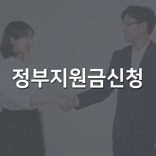정부지원금신청, 어디서부터 확인해야 헛걸음을 줄일 수 있을까요? - 요약