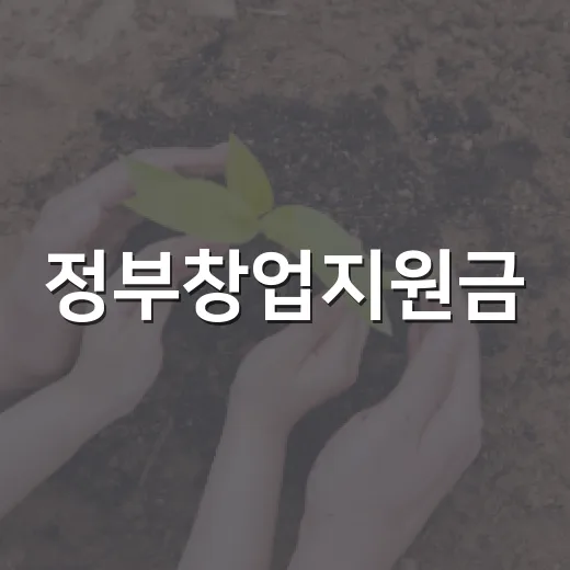 정부창업지원금, 받으면 내 돈 부담이 정말 줄어들까요? - 요약