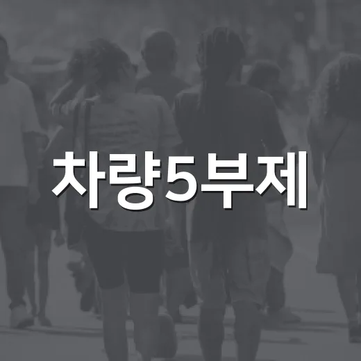 차량5부제, 지금도 공영주차장 갈 때 신경 써야 할까요? - 요약