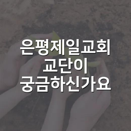 은평제일교회 교단이 궁금하신가요? 이름보다 먼저 봐야 할 기준은 무엇일까요? - 요약
