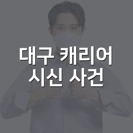 대구 캐리어 시신 사건, 왜 가정폭력 문제로 봐야 할까요? - 요약