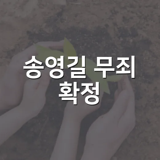 송영길 무죄 확정, 우리 생활에는 뭐가 달라질까요? - 요약