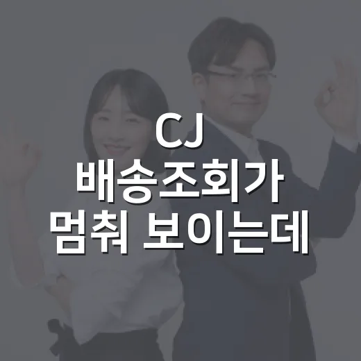 CJ 배송조회가 멈춰 보이는데, 내 택배는 지금 어디에 있는 걸까요? - 요약