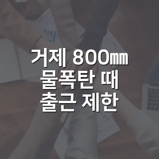 거제 800㎜ 물폭탄 때 출근 제한, 회사는 꼭 쉬게 해야 할까요? - 요약