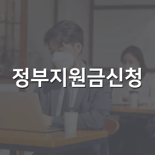 정부지원금신청, 놓치고 있는 돈이 있는지 어떻게 확인할까요? - 요약
