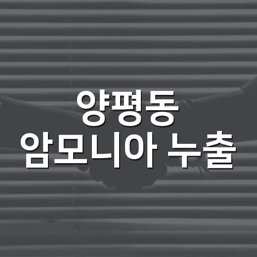 양평동 암모니아 누출, 우리 생활에는 뭐가 달라졌을까요? - 요약