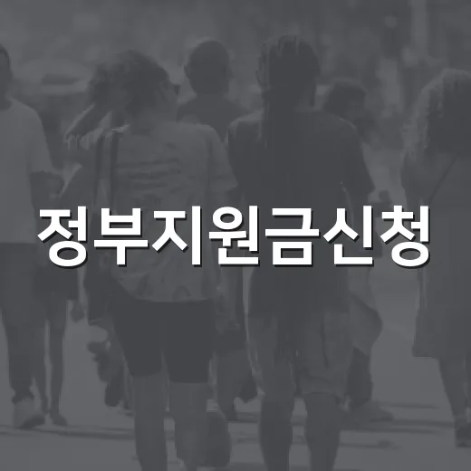 정부지원금신청, 나는 왜 매번 놓치고 있을까요? - 요약