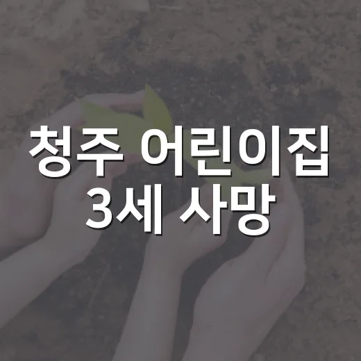 청주 어린이집 3세 사망, 낮잠 시간에 부모가 확인해야 할 점은 무엇일까요? - 요약