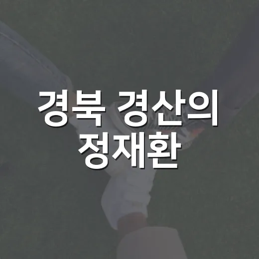 경북 경산의 정재환, 그가 지역에 미치는 영향은? - 요약