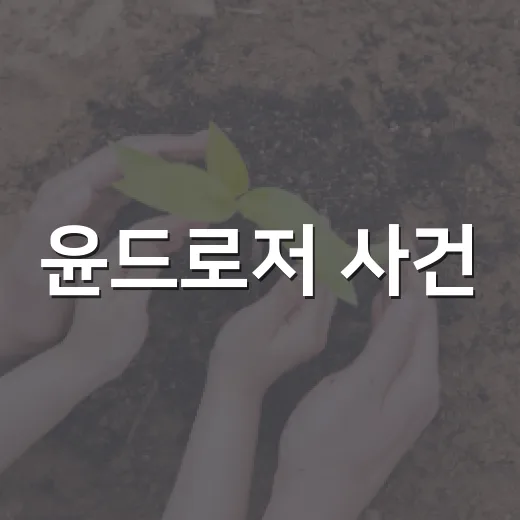 윤드로저 사건, 단순 시청도 문제가 될 수 있다는 걸 알고 계신가요? - 요약
