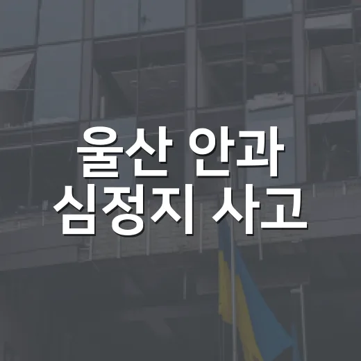 울산 안과 심정지 사고, 아이 수술 전 부모가 무엇을 확인해야 할까요? - 요약