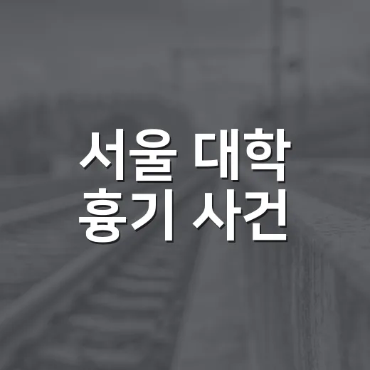 서울 대학 흉기 사건, 영국인 피의자 검거가 우리 생활에 주는 의미는 무엇일까요? - 요약