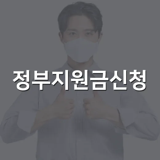 정부지원금신청, 나는 어디서부터 확인해야 할까요? - 요약