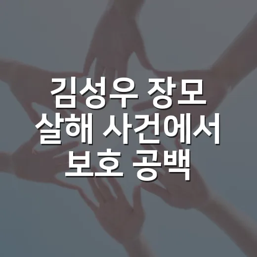 김성우 장모 살해 사건에서 보호 공백은 뭘까요? - 요약