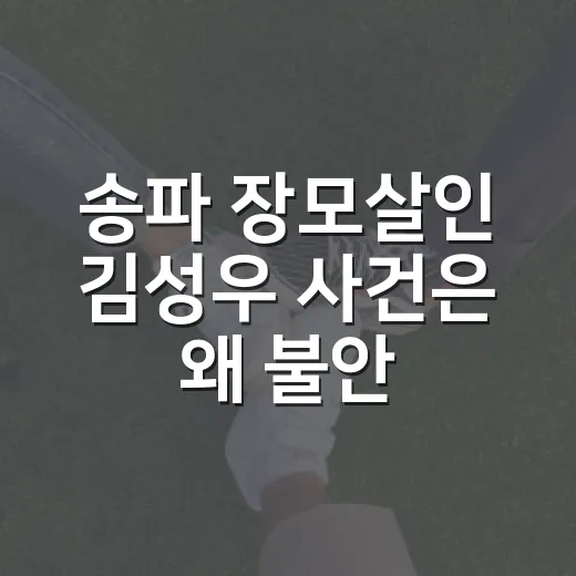 송파 장모살인 김성우 사건은 왜 불안할까요? - 요약