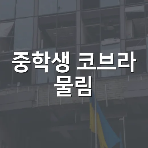 중학생 코브라 물림, 우리 집과 무슨 관계일까요? - 요약
