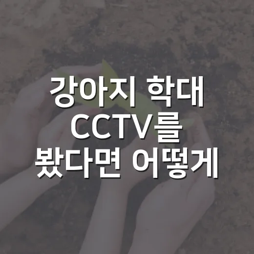 강아지 학대 CCTV를 봤다면 어떻게 해야 할까요? - 요약