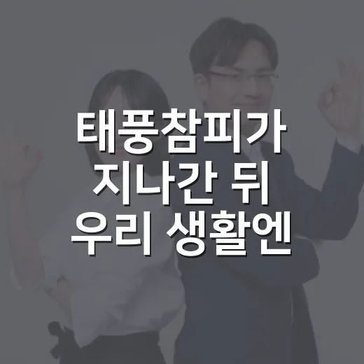 태풍참피가 지나간 뒤 우리 생활엔 뭐가 남았을까요? - 요약