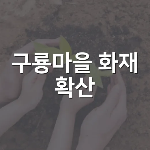 구룡마을 화재 확산, 주민 생활은 어떻게 달라졌을까요? - 요약