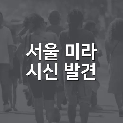 서울 미라 시신 발견, 우리 동네에선 무엇을 봐야 할까요? - 요약