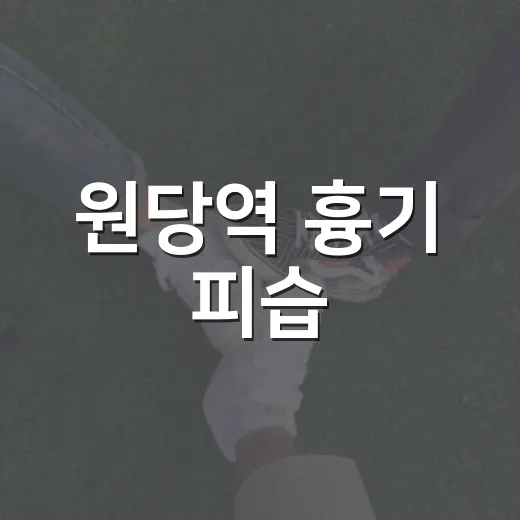 원당역 흉기 피습, 출퇴근길도 위험해진 걸까요? - 요약