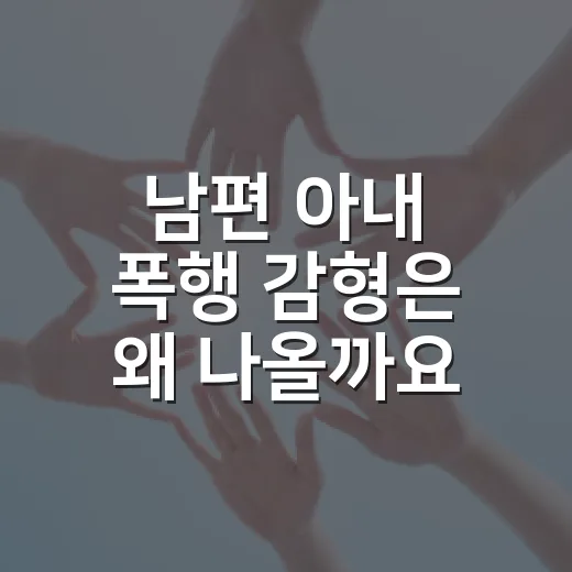 남편 아내 폭행 감형은 왜 나올까요? - 요약