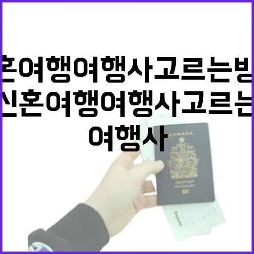 신혼여행여행사 고르는 방법, 이렇게 해보세요! - 요약