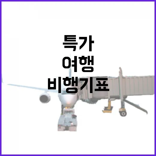 비행기표 특가로 여행 가는 방법 - 요약