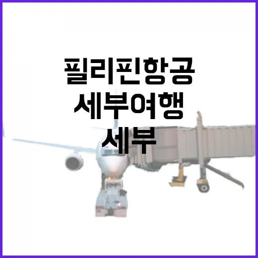 필리핀항공으로 세부…