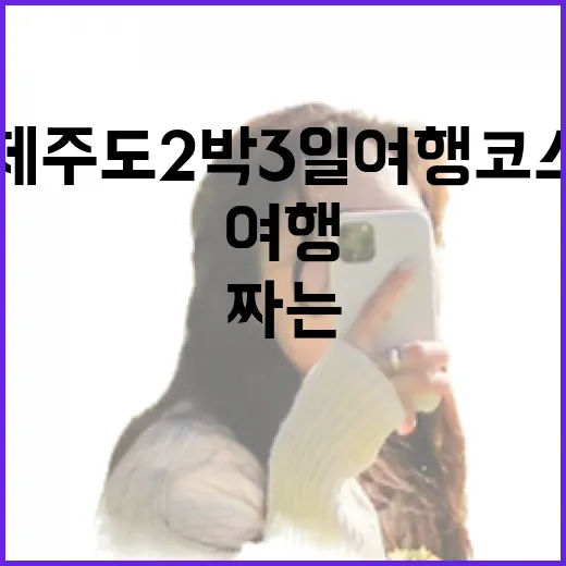 제주도2박3일여행코스 알차게 짜는 방법, 동선부터 숙소 위치까지 - 요약