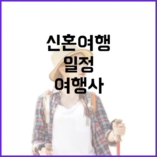 신혼여행여행사 고르는 방법, 견적부터 일정까지 이렇게 확인하세요 - 요약