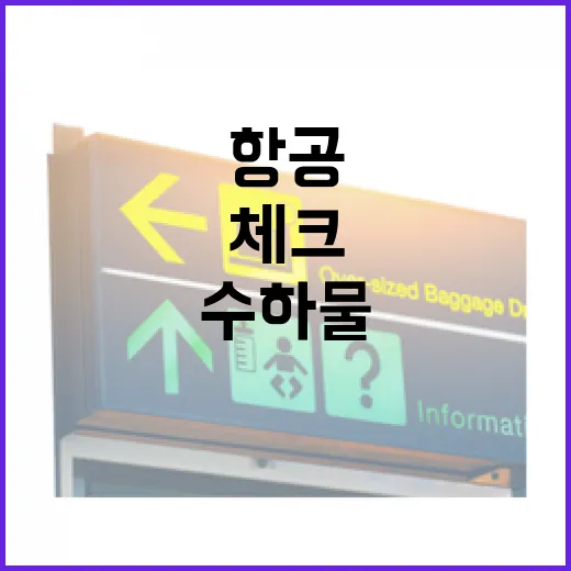 아시아항공 이용 전 체크하는 방법, 항공권부터 수하물까지 놓치지 않으려면 이렇게 - 요약
