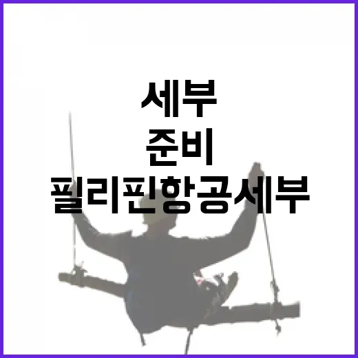 필리핀항공세부 이용하려면 이렇게 준비하면 편합니다 - 요약