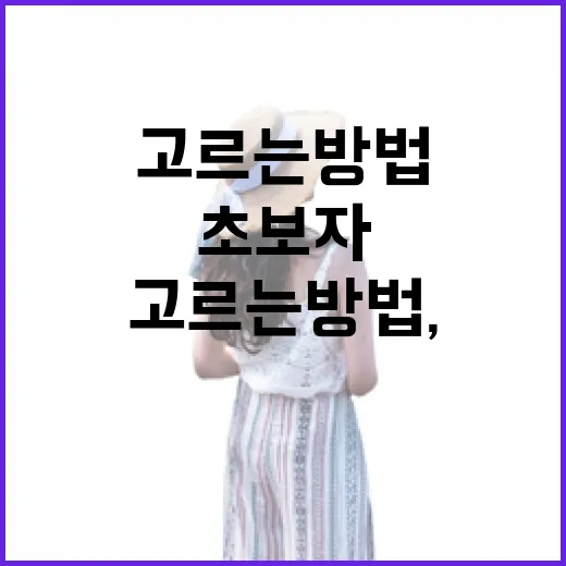 미국여행패키지 고르는 방법, 초보자는 이렇게 비교하면 편합니다 - 요약