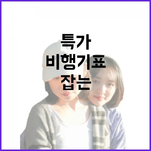 비행기표특가 잡는 방법, 초보자도 놓치지 않으려면 이렇게 - 요약