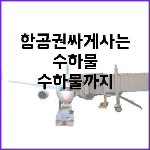 항공권 싸게 사는 방법, 날짜부터 수하물까지 이렇게 확인하세요 - 요약