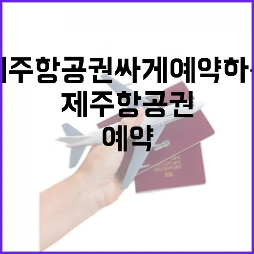 청주제주항공권 싸게 예약하는 방법, 초보자도 놓치기 쉬운 포인트 - 요약