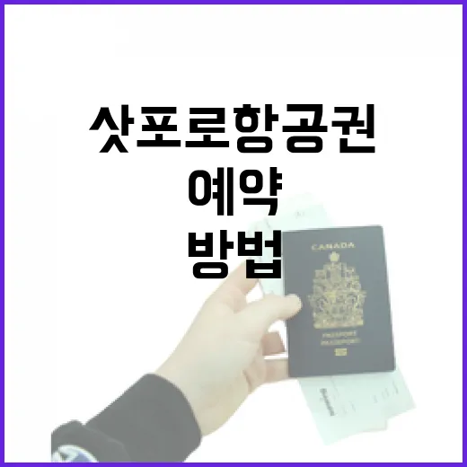 삿포로항공권 싸게 예약하는 방법, 초보자도 놓치기 쉬운 기준 - 요약